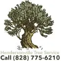 Hendersonville Tree Service